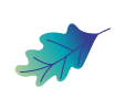 hoja2 hoja2